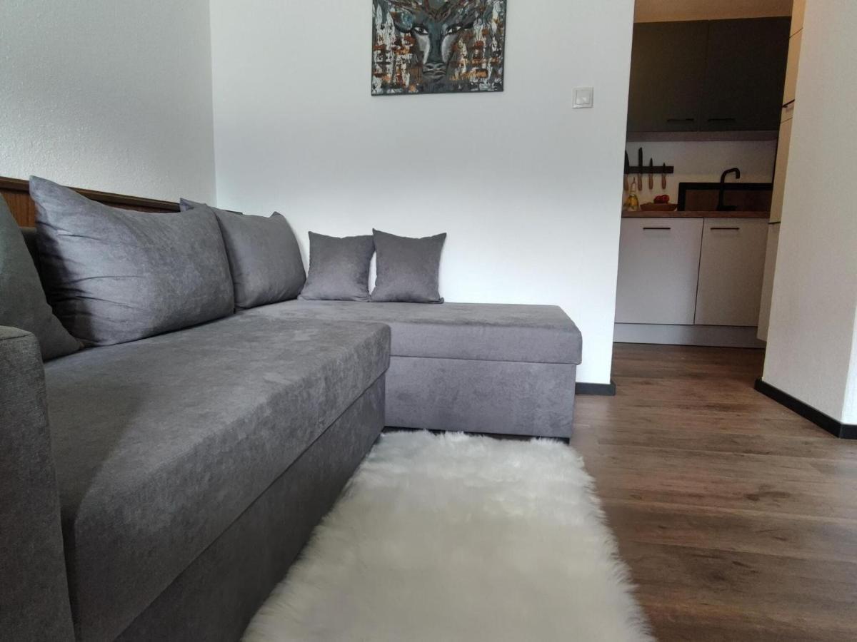 Great Apartment Near The Ski Area Hippach Dış mekan fotoğraf